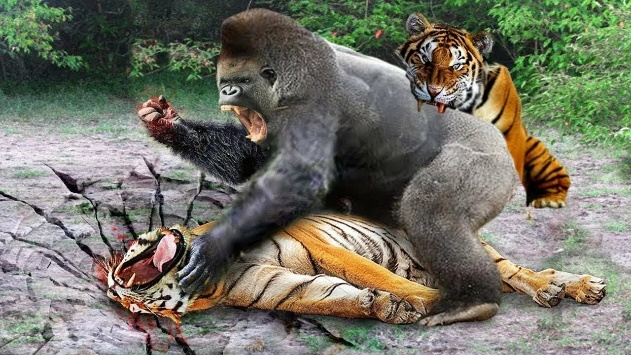 А ЧТО КИТАЙ?