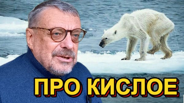 ПРО КИСЛОЕ 📺 Видео